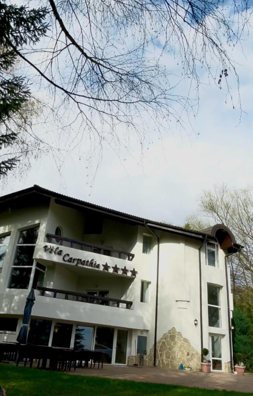 Vila Carpathia Bran  Esterno foto