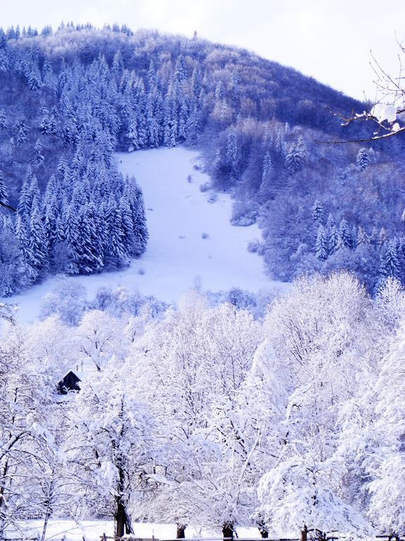 Vila Carpathia Bran  Esterno foto