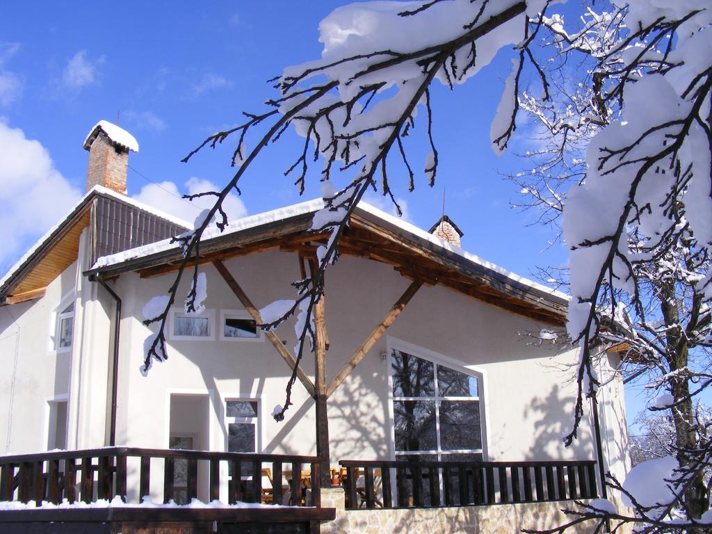 Vila Carpathia Bran  Esterno foto